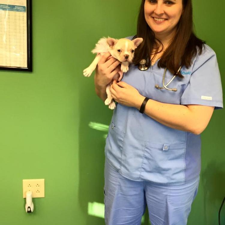 Noah's Animal Hospital Indianapolis, IN